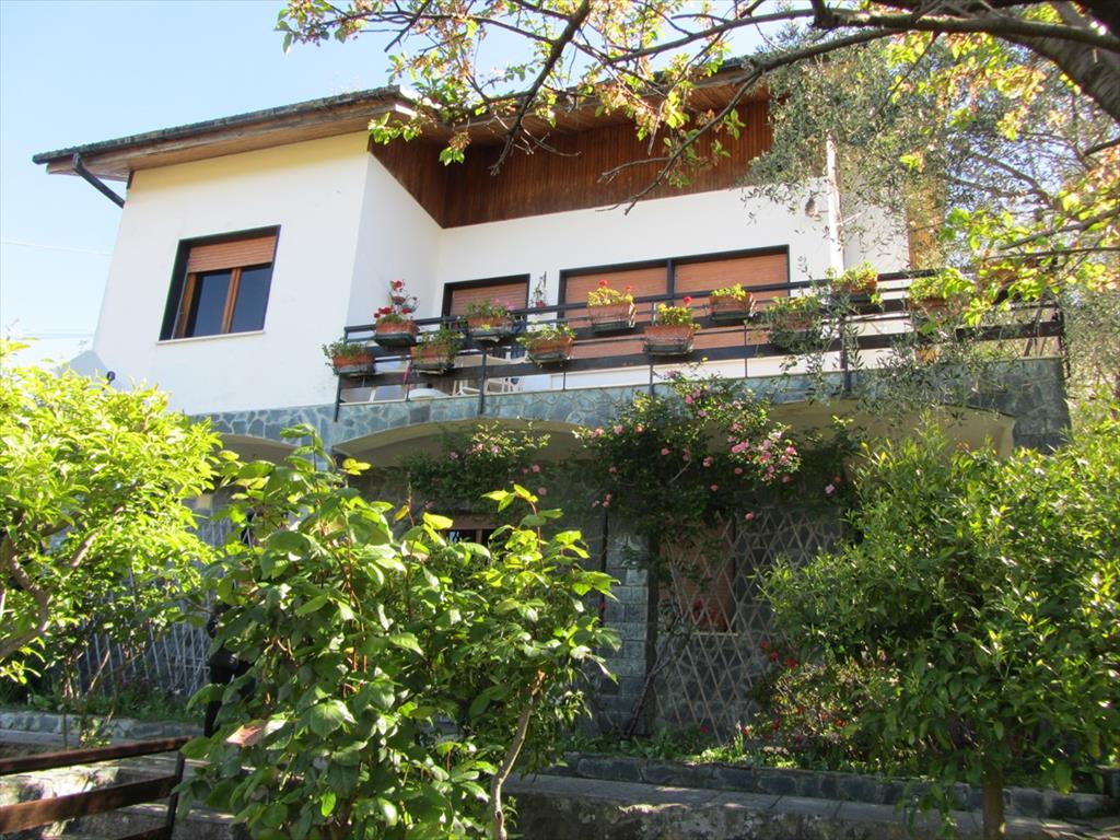 ROYAL IMMOBILIARE